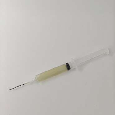 Reishi Liquid Culture Syringe