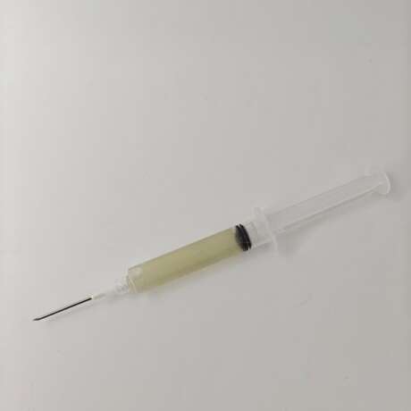 Reishi Liquid Culture Syringe